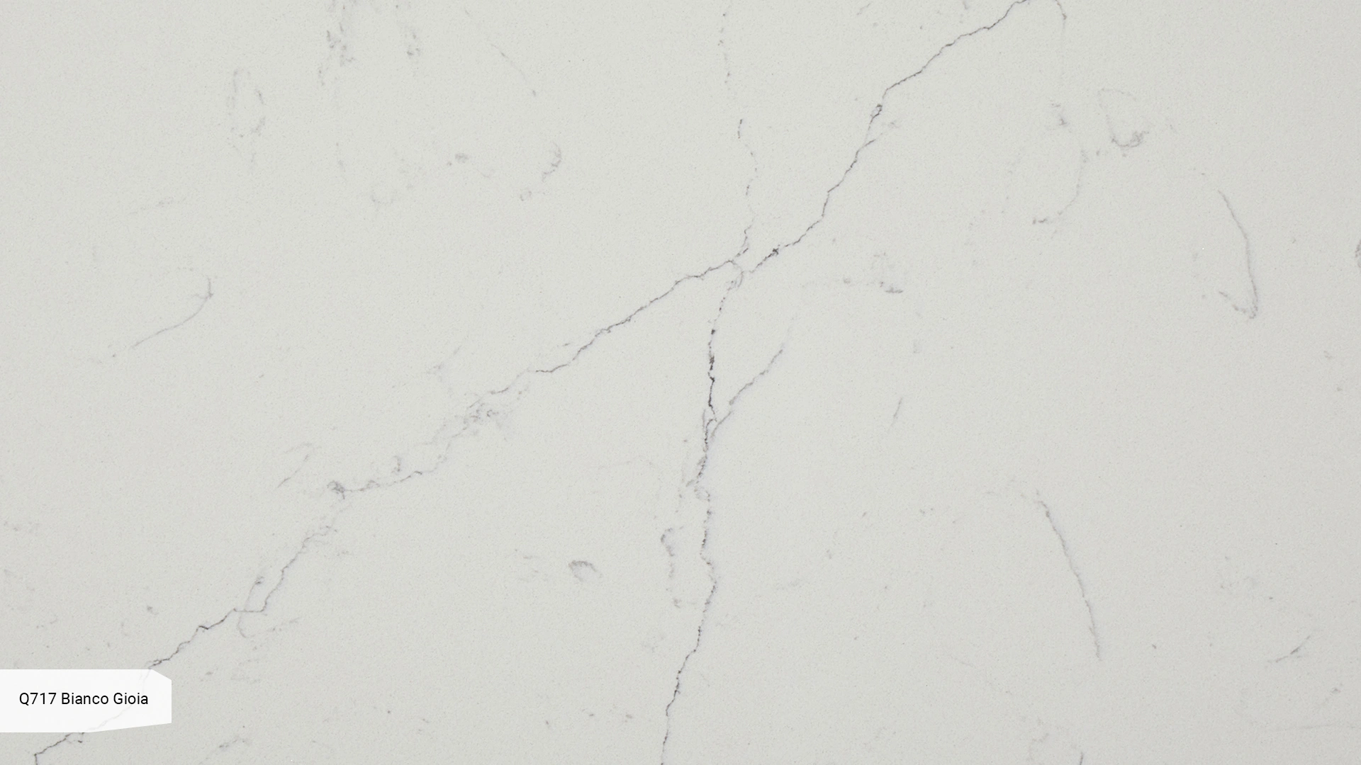 Q717 Bianco Gioia